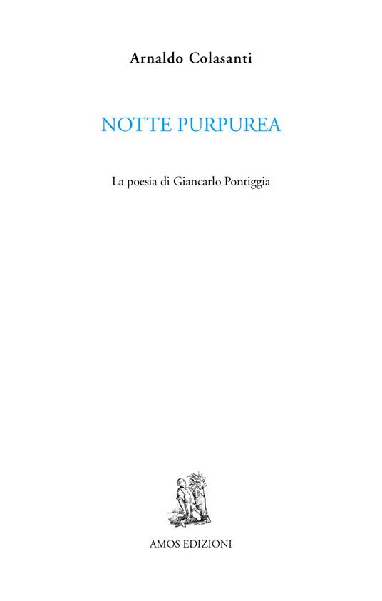 Notte purpurea. La poesia di Giancarlo Pontiggia - Arnaldo Colasanti - copertina