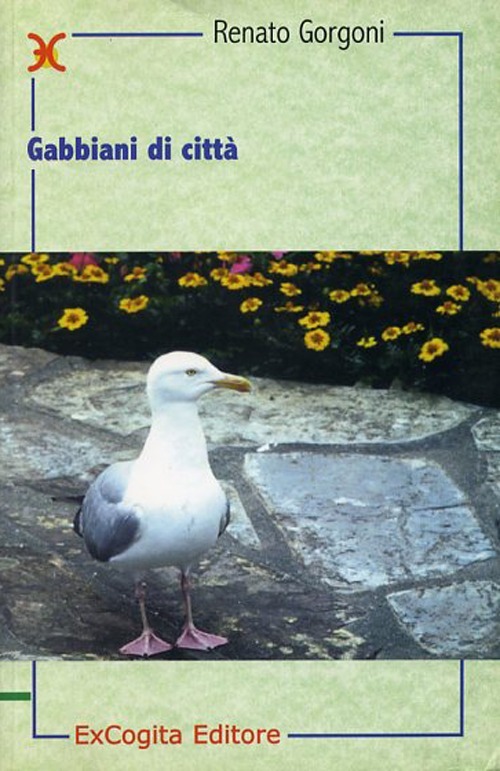 Libraccio