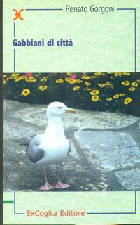 Gabbiani di città