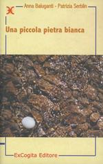 Una piccola pietra bianca