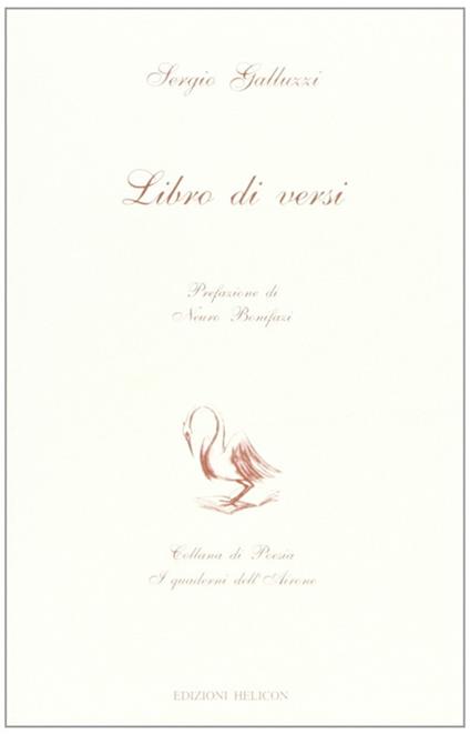 Libro di versi - Sergio Galluzzi - copertina
