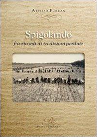 Spigolando fra ricordi di tradizioini perdute - Attilio Furlan - copertina