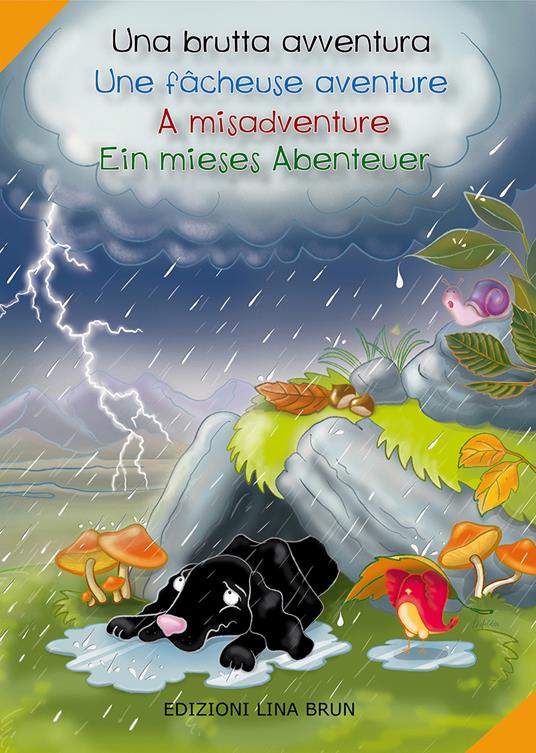 Una brutta avventura-Une fâcheuse aventure-A misadventure-Ein mieses abenteuer. Ediz. multilingue - copertina