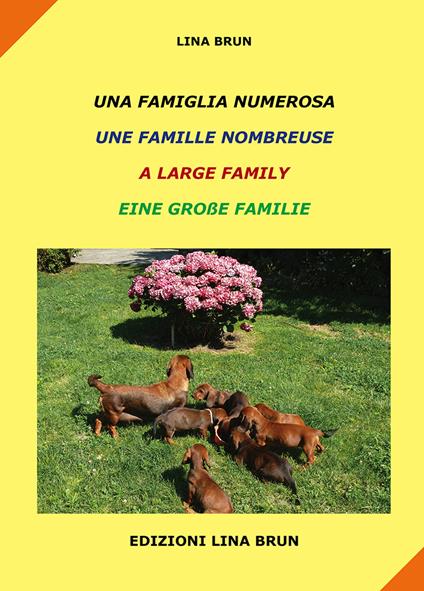 Una famiglia numerosa-Une famille nombreuse-A large family-Eine grabe familie. Ediz. multilingue - Lina Brun - copertina