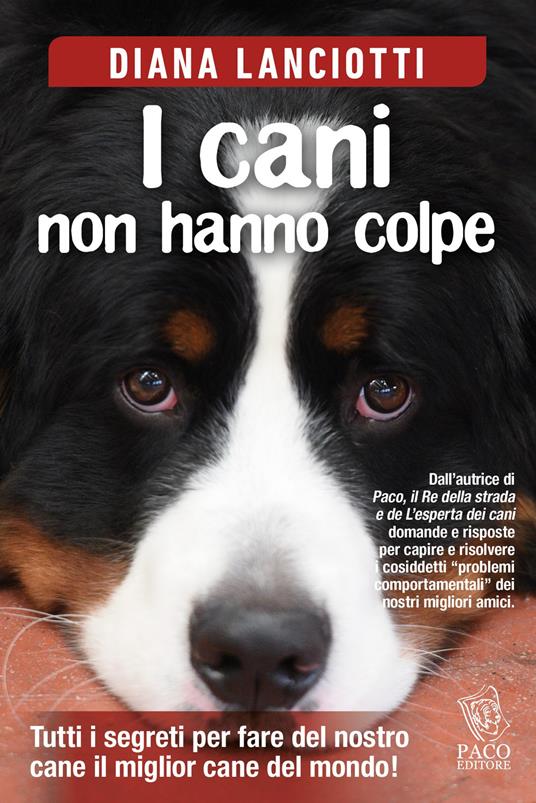 I cani non hanno colpe - Diana Lanciotti - copertina