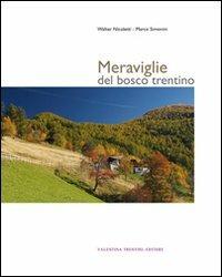 Meraviglie del bosco trentino. Ediz. illustrata - Walter Nicoletti,Marco Simonini - copertina