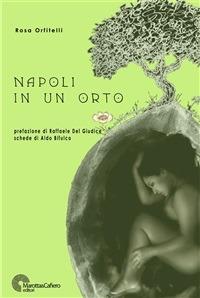 Napoli in un orto - Rosa Orfitelli - copertina