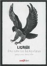 Ligabue. Il mio nome non ha importanza - Giuseppe Zironi,Hannes Bider - copertina