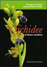 Le orchidee di monte Catalfano