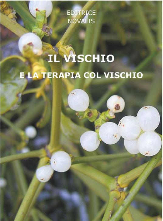 Vischio e la terapia col vischio - Giuseppina Quattrocchi - ebook