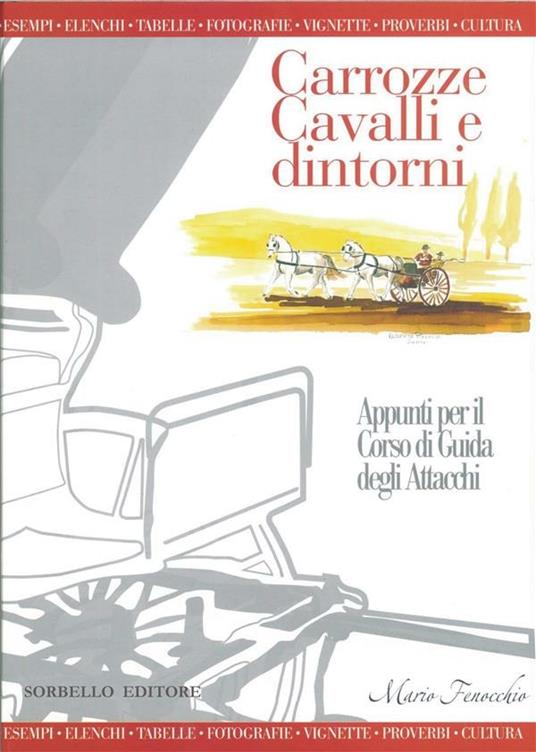 Carrozze, cavalli e dintorni - Mario Fenocchio - ebook