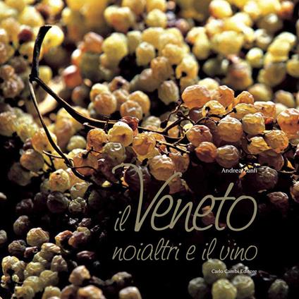 Il Veneto, noi altri e il vino - Andrea Zanfi - copertina