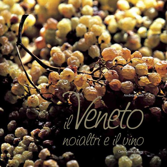 Il Veneto, noi altri e il vino - Andrea Zanfi - copertina