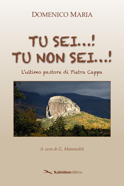 Tu sei...! Tu non sei...! L'ultimo pastore di Pietra Cappa - Domenico Maria - copertina