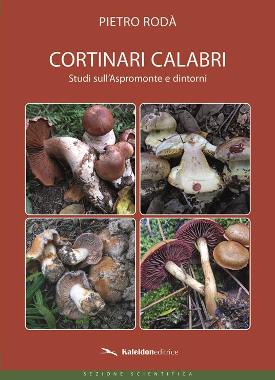 Cortinari Calabri. Studi sull'Aspromonte e dintorni - Pietro Rodà - copertina