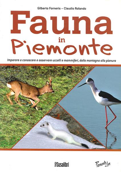 Fauna In Piemonte. Imparare a conoscere e osservare uccelli e mammiferi, dalla montagna alla pianura - Gilberto Forneris,Claudio Rolando - copertina