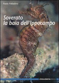 Soverato la baia dell'ippocampo - Paolo Palladino - copertina