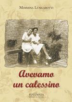 Avevamo un calessino