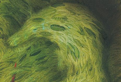 In bocca al lupo. Ediz. illustrata - Fabian Negrin - 2