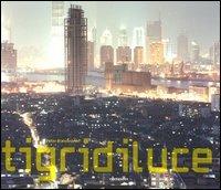 Tigridiluce. Le nuove megalopoli dell'Asia. Ediz. italiana e inglese - Peter Bialobrzeski,Florian Hanig,Christoph Ribbat - copertina