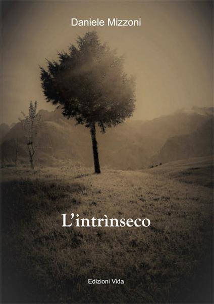 L' intrìnseco - Daniele Mizzoni - copertina