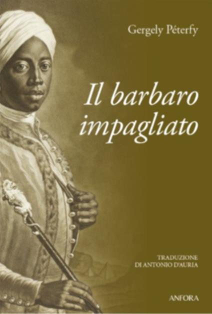 Il barbaro impagliato - Gergely Péterfy - copertina