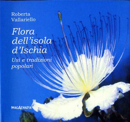 Flora dell'isola d'Ischia. Usi e tradizioni popolari - Roberta Vallariello - copertina
