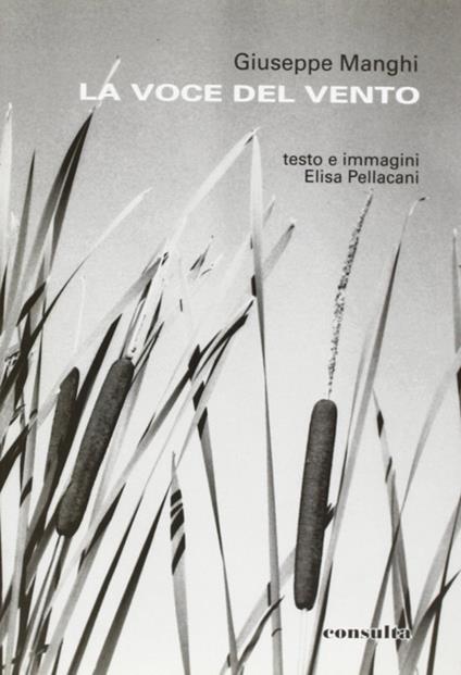 La voce del vento - Giuseppe Manghi - copertina