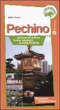 Pechino. Itinerari di cultura, come muoversi, la Città Proibita - Sylvio Fresco - 6