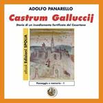 Castrum Galluccij. Storia di un insediamento fortificato nel casertano. CD-ROM