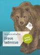 Ursus ladinicus. Guida breve - Gernot Rabeder,Herwig Prinoth,Florian Kronbichler - copertina