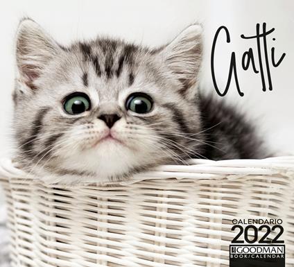Gatti. Calendario 2022 - copertina