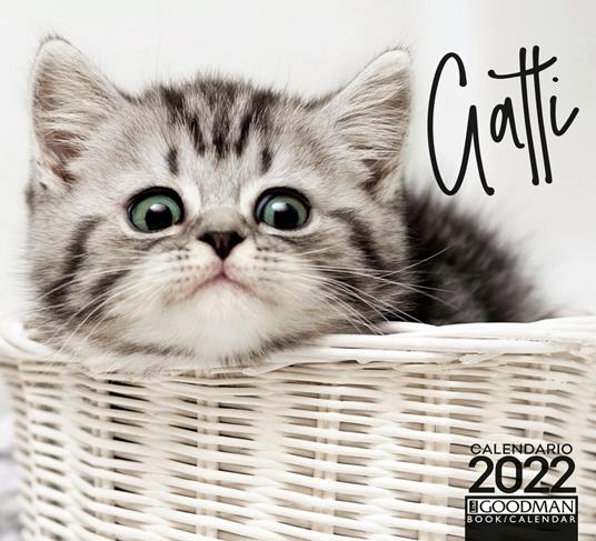 Gatti. Calendario 2022 - copertina
