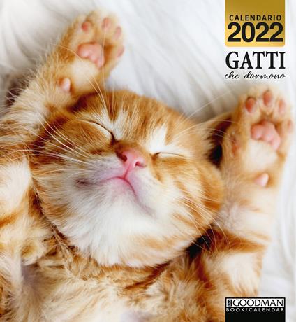 Gatti che dormono. Calendario 2022 - copertina