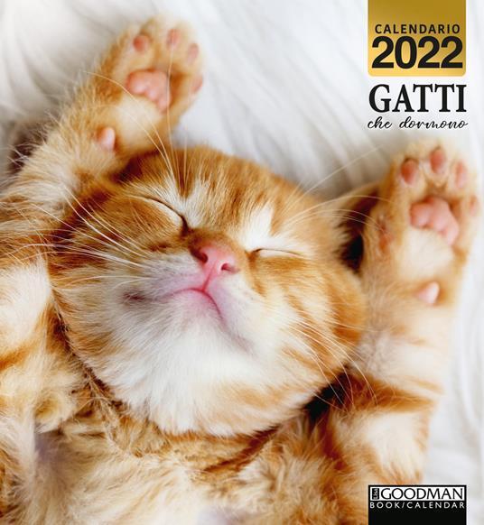 Gatti che dormono. Calendario 2022 - copertina