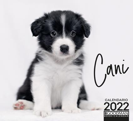 Cani. Calendario 2022 - copertina