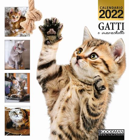 Gatti e marachelle. Calendario 2022 - copertina