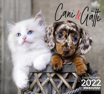 Cani & gatti. Calendario 2022 - copertina