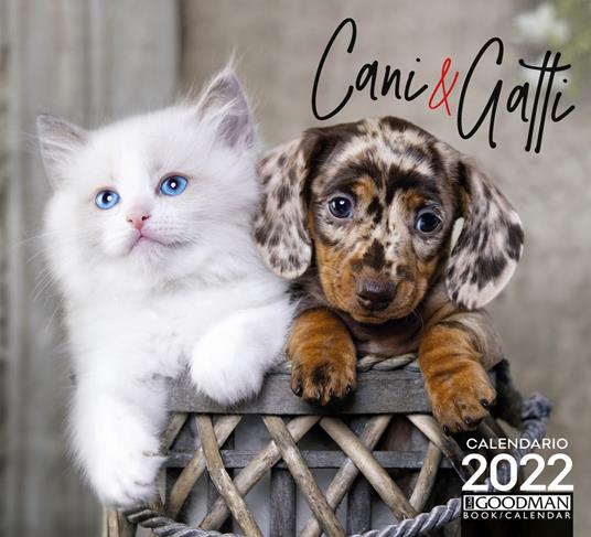 Cani & gatti. Calendario 2022 - copertina