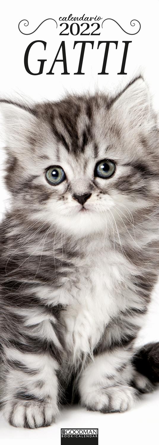 Gatti. Calendario 2022 - copertina