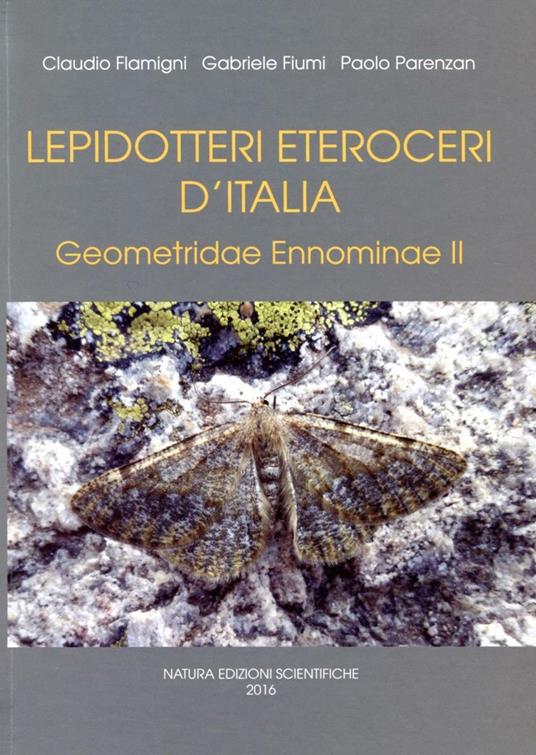 Lepidotteri eteroceri d'Italia. Geometridae ennominae. Vol. 2 - Claudio Flamigni,Gabriele Fiumi,Paolo Parenzan - copertina
