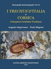 I trechus d'Italia e Corsica. Coleoptera Carabidae Trechinae - Augusto Degiovanni,Paolo Magrini - copertina