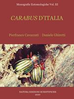 Carabus d'Italia