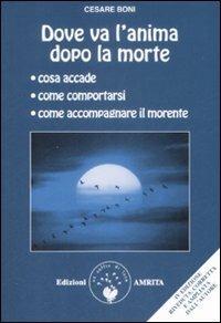 Dove va l'anima dopo la morte - Cesare Boni - copertina