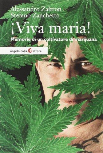 Libreria Serendipity