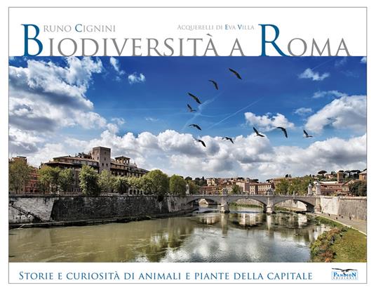Biodiversità a Roma. Storie e curiosità su animali e piante della Capitale. Ediz. illustrata - Bruno Cignini - copertina