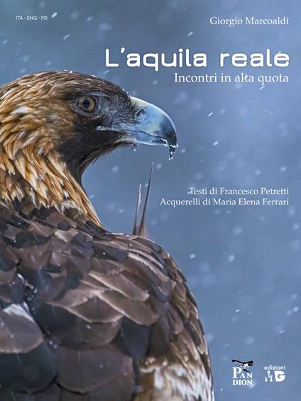 Aquila reale. Incontri in alta quota - Giorgio Marcoaldi - copertina