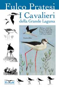 I cavalieri della grande laguna