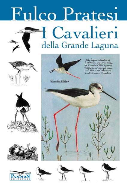 I cavalieri della grande laguna - Fulco Pratesi - copertina