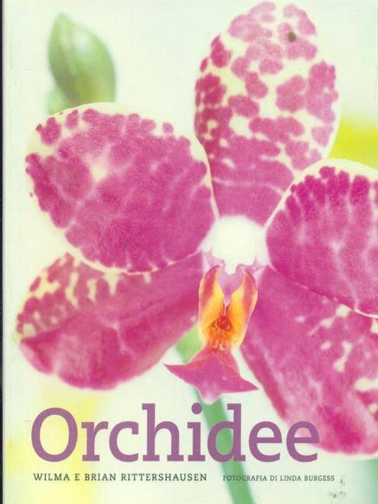 Orchidee - Wilma Rittershausen,Brian Rittershausen - copertina